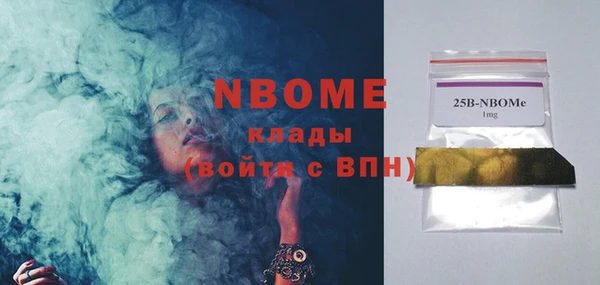 стаф Алзамай