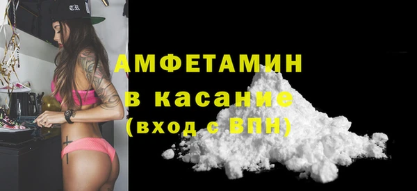 стаф Алзамай