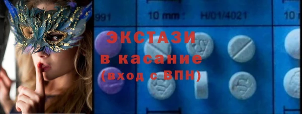 стаф Алзамай