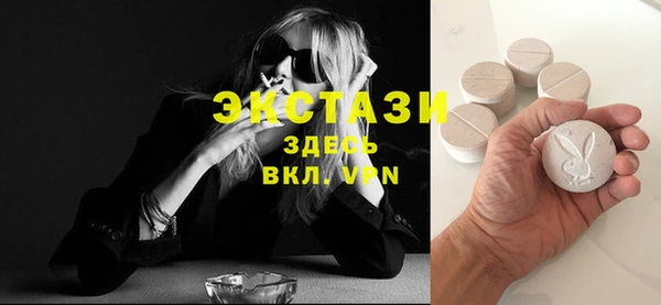 стаф Алзамай