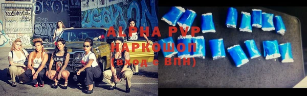 гидра Алексеевка