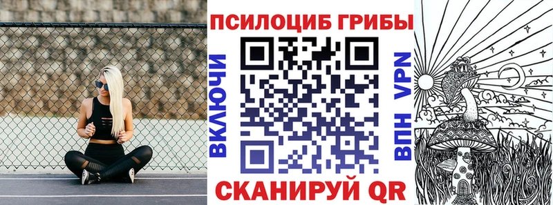 hydra вход  Осинники  Псилоцибиновые грибы MAGIC MUSHROOMS 
